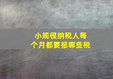 小规模纳税人每个月都要报哪些税