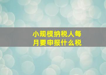 小规模纳税人每月要申报什么税