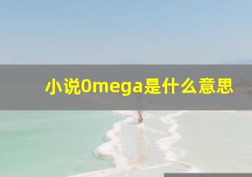 小说0mega是什么意思