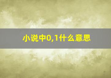 小说中0,1什么意思