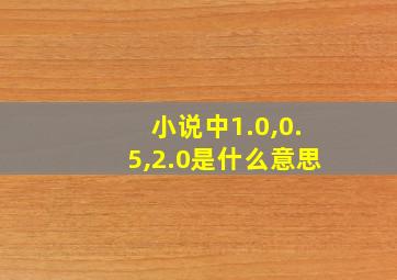 小说中1.0,0.5,2.0是什么意思