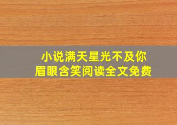 小说满天星光不及你眉眼含笑阅读全文免费