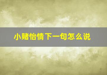 小赌怡情下一句怎么说