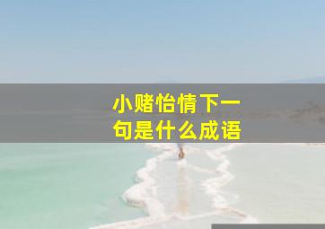 小赌怡情下一句是什么成语