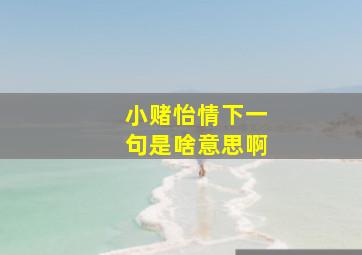 小赌怡情下一句是啥意思啊