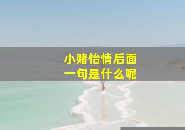 小赌怡情后面一句是什么呢