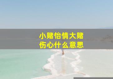 小赌怡情大赌伤心什么意思