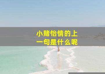 小赌怡情的上一句是什么呢