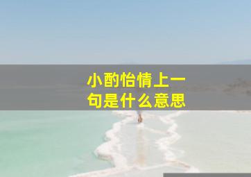 小酌怡情上一句是什么意思