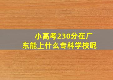 小高考230分在广东能上什么专科学校呢