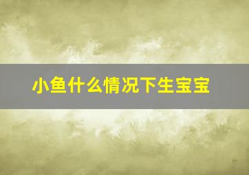 小鱼什么情况下生宝宝