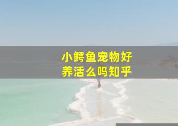 小鳄鱼宠物好养活么吗知乎