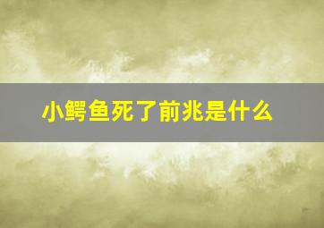 小鳄鱼死了前兆是什么