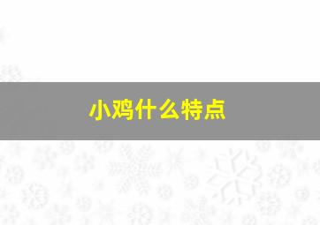 小鸡什么特点