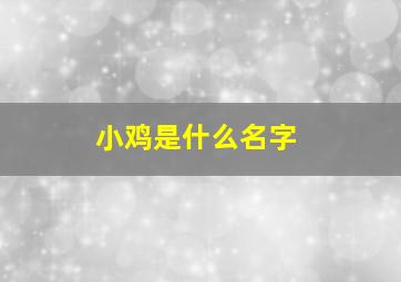 小鸡是什么名字