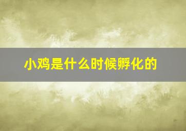 小鸡是什么时候孵化的