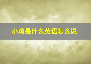 小鸡是什么英语怎么说