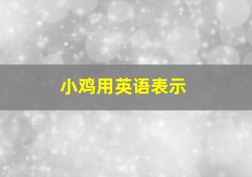 小鸡用英语表示