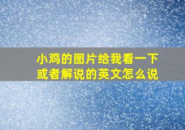 小鸡的图片给我看一下或者解说的英文怎么说