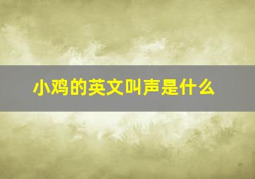 小鸡的英文叫声是什么