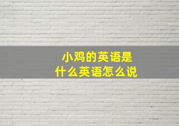 小鸡的英语是什么英语怎么说