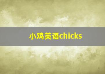 小鸡英语chicks