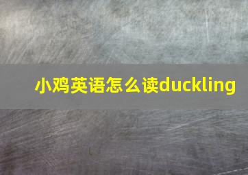 小鸡英语怎么读duckling