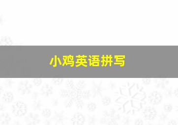 小鸡英语拼写