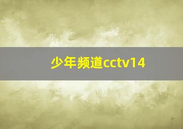 少年频道cctv14