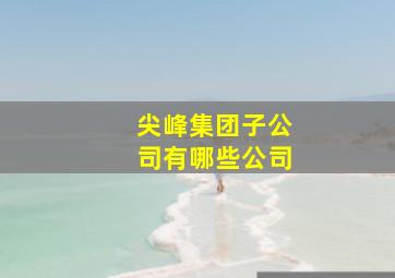 尖峰集团子公司有哪些公司