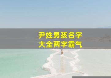 尹姓男孩名字大全两字霸气