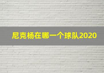 尼克杨在哪一个球队2020