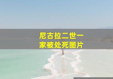 尼古拉二世一家被处死图片