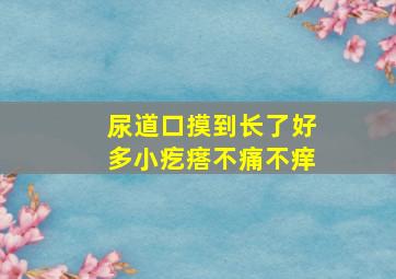 尿道口摸到长了好多小疙瘩不痛不痒