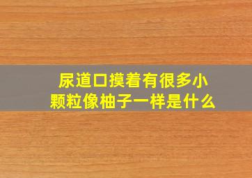 尿道口摸着有很多小颗粒像柚子一样是什么