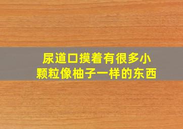 尿道口摸着有很多小颗粒像柚子一样的东西