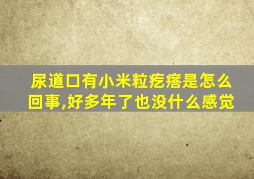 尿道口有小米粒疙瘩是怎么回事,好多年了也没什么感觉