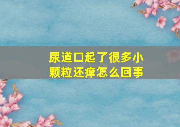 尿道口起了很多小颗粒还痒怎么回事