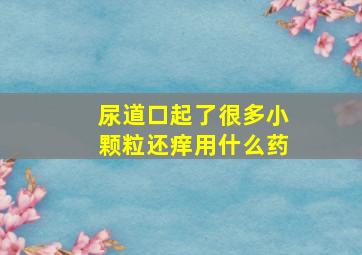 尿道口起了很多小颗粒还痒用什么药