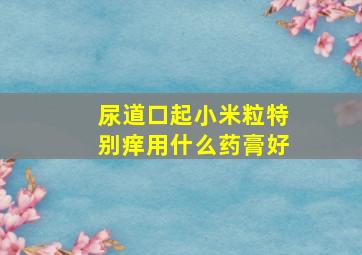 尿道口起小米粒特别痒用什么药膏好