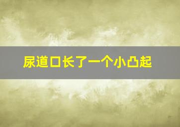 尿道口长了一个小凸起