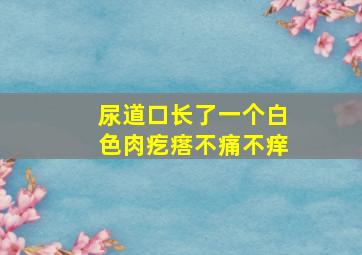 尿道口长了一个白色肉疙瘩不痛不痒