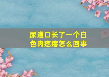 尿道口长了一个白色肉疙瘩怎么回事