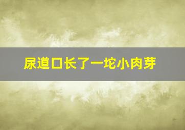 尿道口长了一坨小肉芽