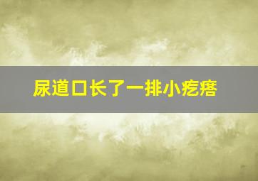 尿道口长了一排小疙瘩