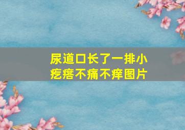 尿道口长了一排小疙瘩不痛不痒图片