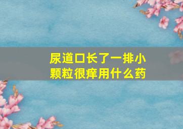 尿道口长了一排小颗粒很痒用什么药