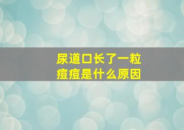 尿道口长了一粒痘痘是什么原因