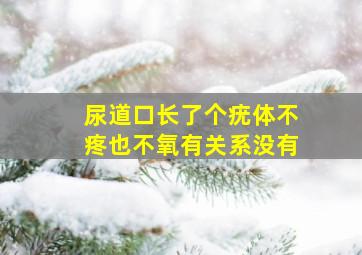 尿道口长了个疣体不疼也不氧有关系没有