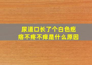 尿道口长了个白色疙瘩不疼不痒是什么原因